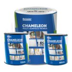 Chameleon - BEISSIER