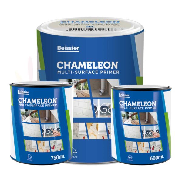 Chameleon - BEISSIER